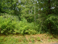 2671 Cochran Road, Dallas, GA 30132 