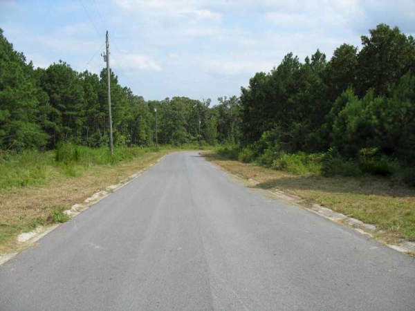 65 Amber Trace, Dallas, GA 30132 