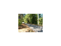 8 Mill Creek Drive, Tallapoosa, GA 30176 