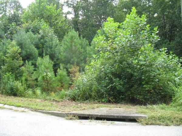 248 Pioneer Trail, Dallas, GA 30132 