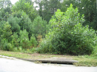 248 Pioneer Trail, Dallas, GA 30132 