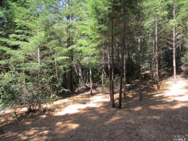 31549 Seaview Rd, Cazadero, CA 31549 
