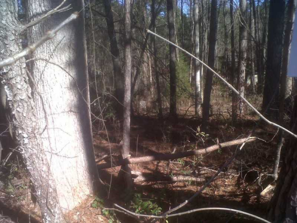 0 Marjorie Road, Snellville, GA 30039 