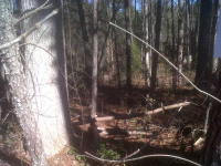 0 Marjorie Road, Snellville, GA 30039 