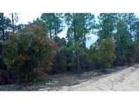 0 Yellow Road, Byron, GA 31008 