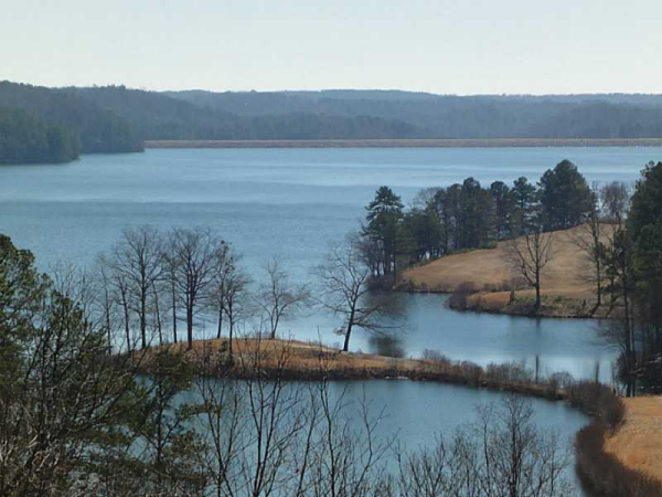 170 White Antelope Street, Waleska, GA 30183 