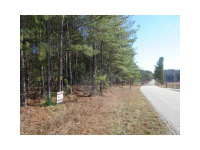 9 Jacksonville Road, Tallapoosa, GA 30176 