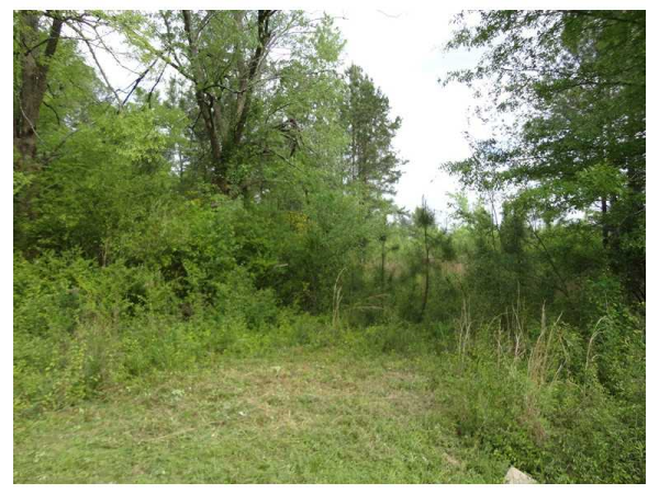 0 Duncan Road, Commerce, GA 30530 