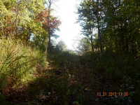 7364 Highway 101 N, Rockmart, GA 30153 