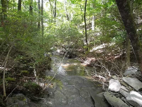 0 Wheeler Cabin Road, Jasper, GA 30143 