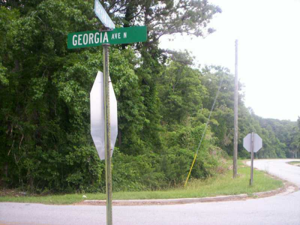 0 Georgia Avenue, Bremen, GA 30110 