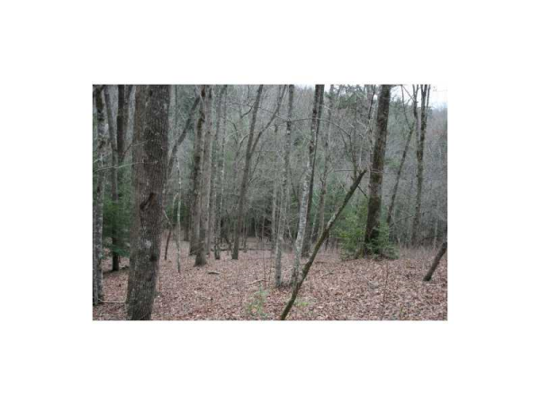 0 Cherokee Lane, Mccaysville, GA 30655 