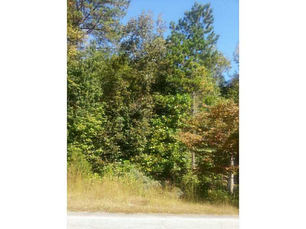 0 Cedar Grove Road, Atlanta, GA 30336 