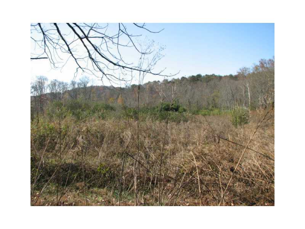 0 Radio Road, Dahlonega, GA 30533 