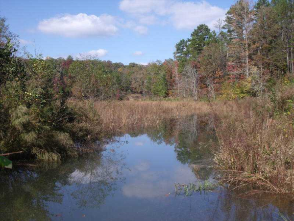 278 Knotts Landing, Lavonia, GA 30553 