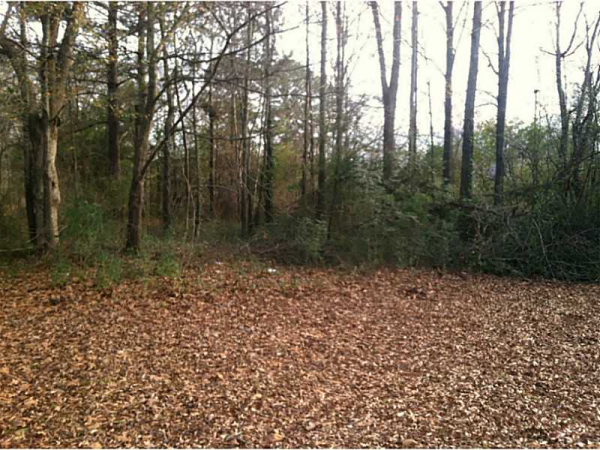 877 Pannell Road, Monroe, GA 30655 