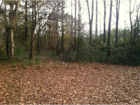 877 Pannell Road, Monroe, GA 30655 