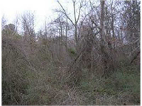 4051 Sanders Road, Powder Springs, GA 30127 