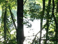 0 Fairview, Jasper, GA 30143 