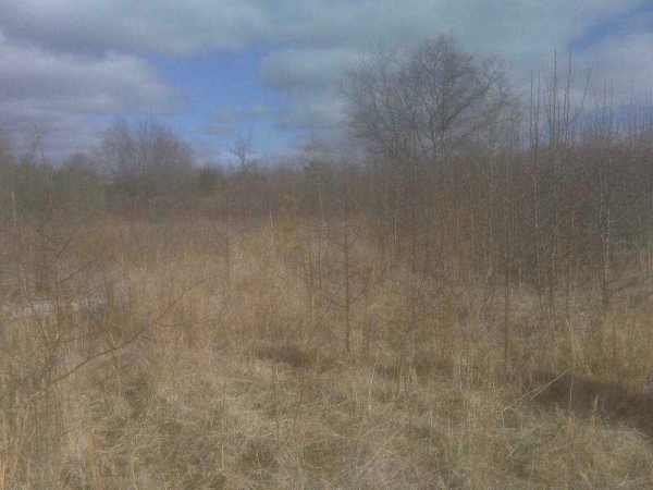 0 Dews Pond Road, Calhoun, GA 30701 