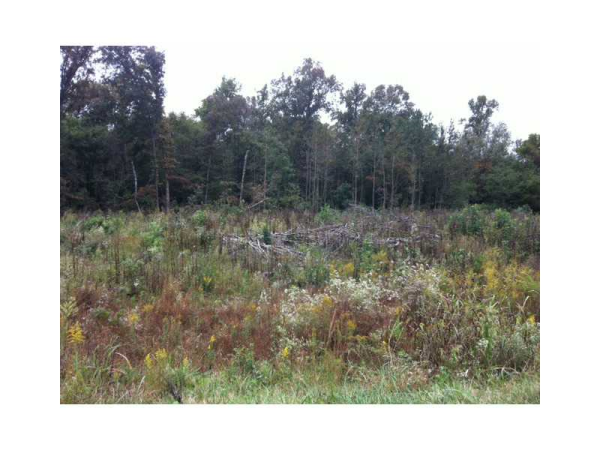 0 Holcomb Road, Adairsville, GA 30103 