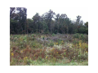 0 Holcomb Road, Adairsville, GA 30103 