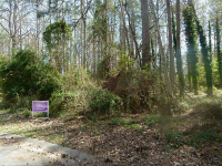 1932 Sawyer Court, Snellville, GA 30078 