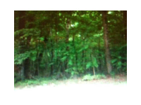 0 Sciple Terrace, Atlanta, GA 30314 