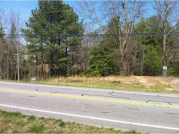 0 Ga Route Hwy 60 Road, Blue Ridge, GA 30513 