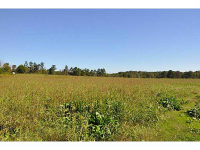 0 Lipscomb Lake Road, Pendergrass, GA 30567 