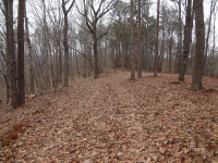 0 Stoney Creek, Dahlonega, GA 30533 