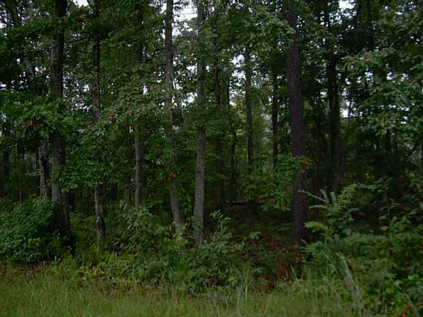 0 Tyson Road, Villa Rica, GA 30180 