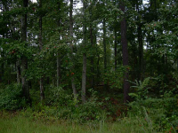 0 Tyson Road, Villa Rica, GA 30180 