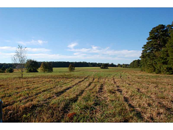 1393 Willow Grove Road, Social Circle, GA 30025 