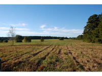 1393 Willow Grove Road, Social Circle, GA 30025 