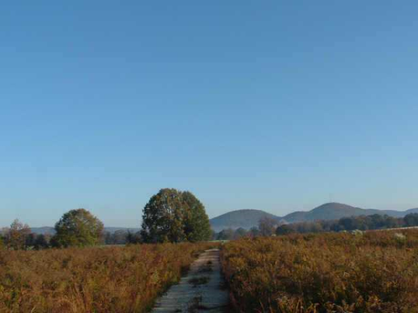 351 Morton Bend Road, Rome, GA 30161 