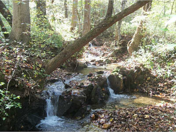 82 Chestatee River Estates, Dahlonega, GA 30533 