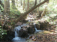 82 Chestatee River Estates, Dahlonega, GA 30533 