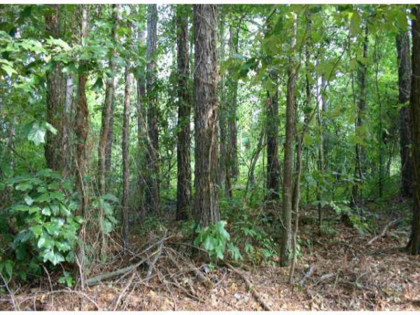 197 Pine_ Circle, Woodstock, GA 30189 