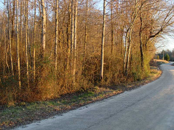 0 Gene Nix Road, Cleveland, GA 30528 