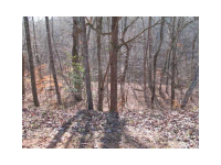 3115 Chapperal Drive, Gainesville, GA 30506 