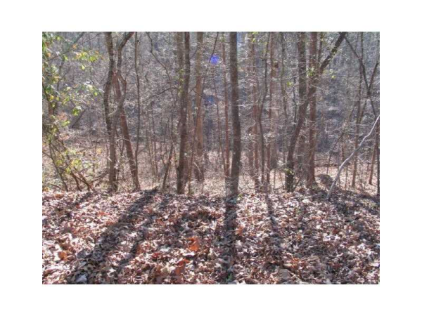 3119 Chapperal Drive, Gainesville, GA 30506 