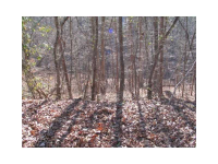 3119 Chapperal Drive, Gainesville, GA 30506 