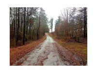 0 Bernard Drive, Stone Mountain, GA 30087 