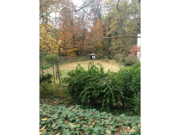 0 Ivy Road, Atlanta, GA 30342 