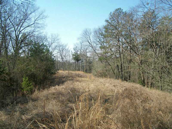 2556 Long Branch Road, Dahlonega, GA 30533 