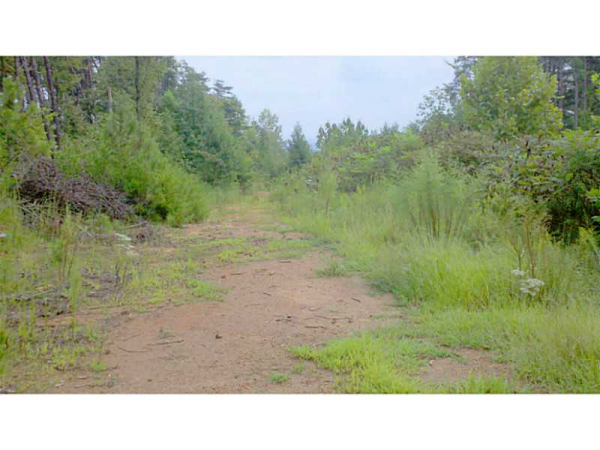 0 Black Knob Church Road, Ranger, GA 30734 