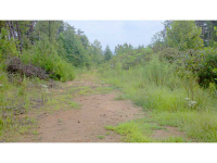 0 Black Knob Church Road, Ranger, GA 30734 