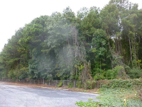 0 Ben Hill Road Sw, Atlanta, GA 30311 