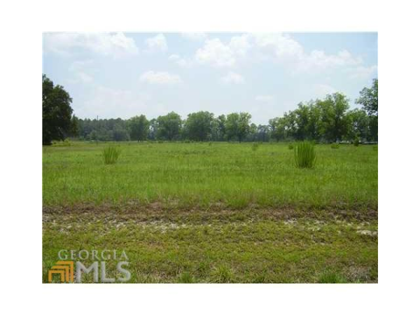 1782 Hwy 21 S, Springfield, GA 31329 